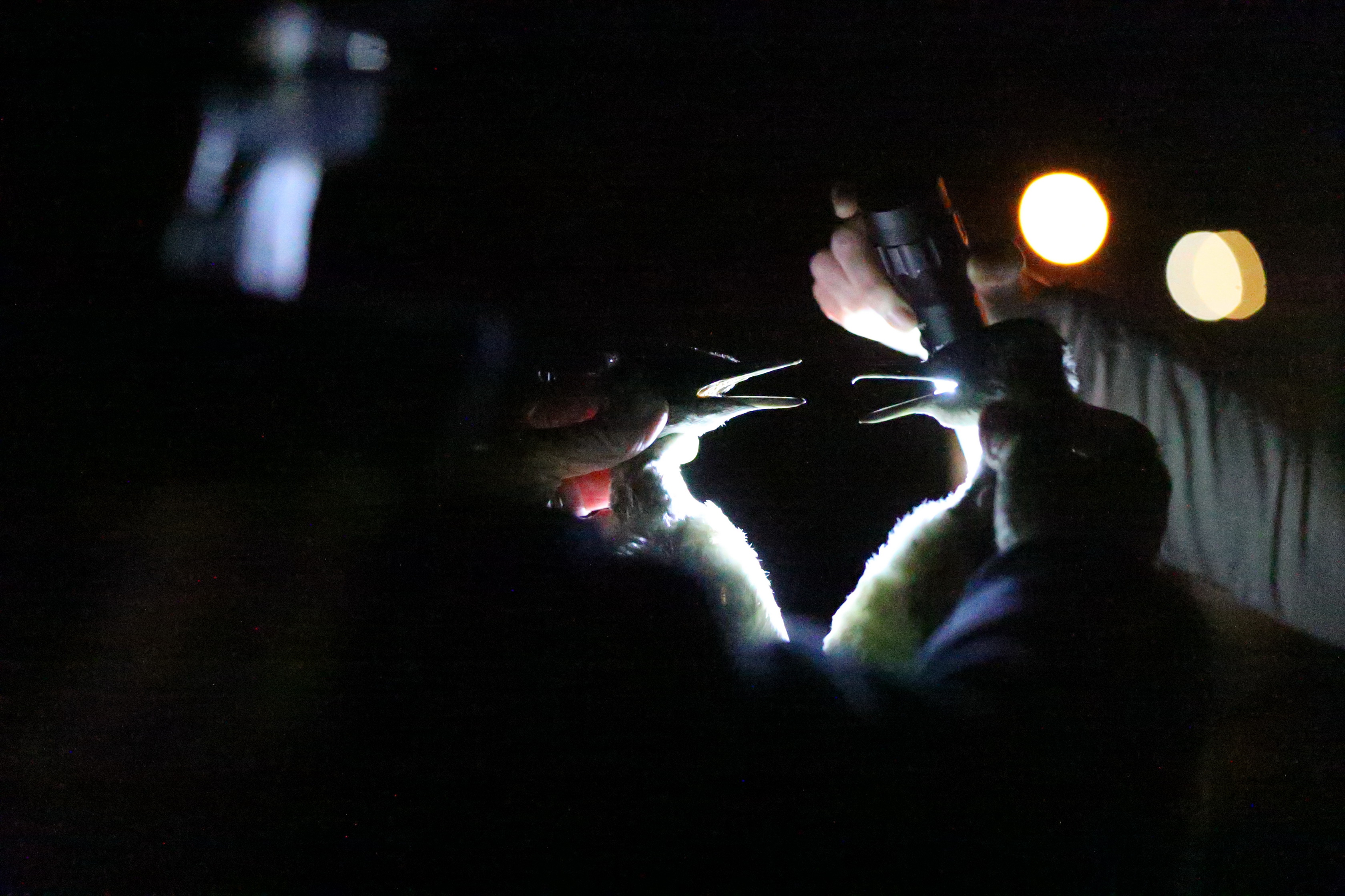 2019 09 28 19 41 26 Canon EOS 5D Mark IV 0060